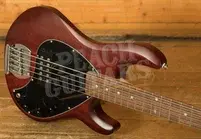 Sterling RAY5 SUB Series StingRay 5 Bass - Walnut Satin