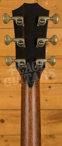 Taylor 900 Series | Builder's Edition 914ce - Wild Honey Burst