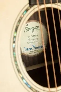 Bourgeois D Custom - Ebony - Natural w/LR Baggs HiFi