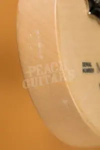 Fender Tom DeLonge Stratocaster - Rosewood - Daphne Blue *B Stock*