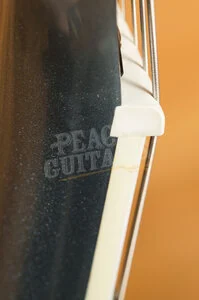 Epiphone Dave Grohl DG-335 | Pelham Blue *B-Stock*