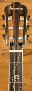 Ibanez TOD10N Tim Henson/Polyphia Electro-Nylon - Rosewood - Transparent Black Flat