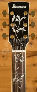 Ibanez AC391RCE Artwood Series Electro-Acoustic - Rosewood - Black High Gloss Top