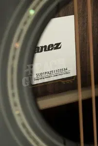 Ibanez AC391RCE Artwood Series Electro-Acoustic - Rosewood - Black High Gloss Top