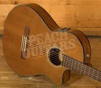 Fender CN-140SCE Nylon Thinline w/Hard Case - Natural