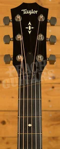 Taylor 500 Series | Builder's Edition 517e - Natural