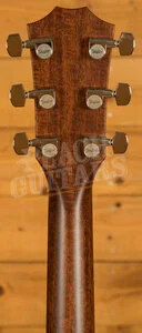 Taylor 500 Series | Builder's Edition 517e - Natural