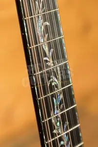 Taylor Presentation Series | PS54ce Honduran Rosewood & Adirondack