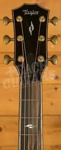 Taylor 800 Series | Builder's Edition 814ce - Adirondack Spruce & Honduran Rosewood