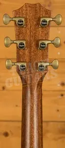 Taylor 800 Series | Builder's Edition 814ce - Adirondack Spruce & Honduran Rosewood