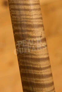 Music Man Steve Lukather Collection | Luke 4 HSS - Fireball