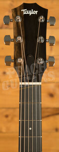 Taylor 200 Series | 214ce-K