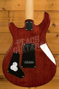 PRS SE Specialty | Swamp Ash Special - Vintage Sunburst