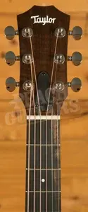 Taylor GS Mini Series | GS Mini Sapele