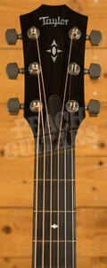 Taylor 700 Series | Builder's Edition 717 - Wild Honey Burst