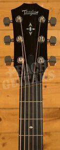 Taylor 700 Series | Builder's Edition 717 - Natural