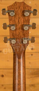 Taylor 700 Series | Builder's Edition 717 - Natural