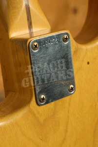Fender Custom Shop Austin MacNutt Masterbuilt Ltd Jerry Garcia Alligator Stratocaster