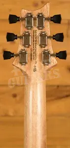 PRS SE Signature | Zach Myers - Myers Blue