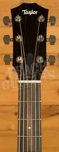 Taylor 300 Series | 314ce Studio - Natural