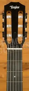 Taylor 200 Series | 214ce-N - Nylon