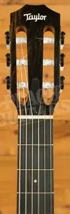 Taylor 212ce-N Plus Solid-Top Cutaway Classical Guitar - Natural