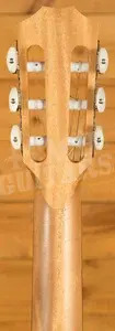 Taylor 212ce-N Plus Solid-Top Cutaway Classical Guitar - Natural