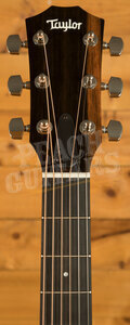 Taylor 400 Series | 414ce Studio - Shaded Edgeburst