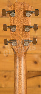 Taylor 400 Series | 414ce Studio - Shaded Edgeburst