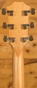 Taylor 214ce Special Edition Honeyburst