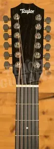 Taylor 354ce Studio Special Edition Honeyburst 12-String