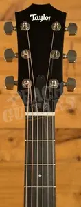 Taylor 414ce Studio Special Edition Honeyburst