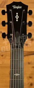 Taylor 300 Series | Builder's Edition 324ce Next Generation
