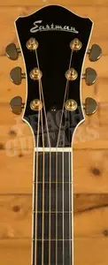 Eastman AR610 - Sunburst