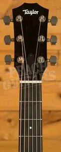 Taylor 300 Series | 314ce Studio - Natural