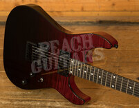 Schecter C-1 Standard | Bloodburst