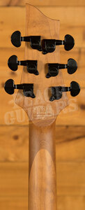 Schecter C-1 Standard | Bloodburst