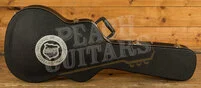 National Style O 12 Fret | Biscuit Resonator - Brass Body