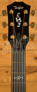 Taylor 400 Series | 414ce Special Edition - Shaded Edgeburst