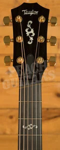 Taylor 400 Series | 414ce Special Edition - Shaded Edgeburst