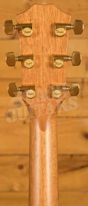 Taylor 400 Series | 414ce Special Edition - Shaded Edgeburst