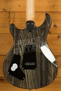 PRS SE Specialty | Swamp Ash Special - Charcoal