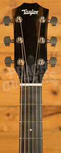 Taylor 300 Series | 314ce Studio - Natural