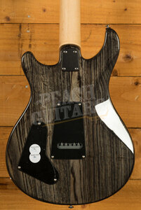 PRS SE Specialty | Swamp Ash Special - Charcoal