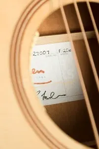 Lowden F-20C | Mahogany - Sitka Spruce with LR Baggs Anthem