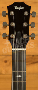 Taylor Custom | Custom #22: T5z