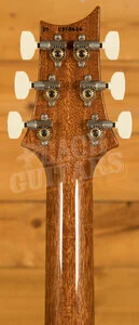 PRS Paul's Guitar - Red Tiger