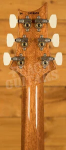 PRS Paul's Guitar - Red Tiger