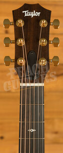 Taylor 50th Anniversary Collection | GS Mini-e Rosewood SB LTD - Vintage Sunburst Top