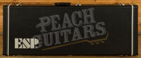 ESP LTD James Hetfield Iron Cross - Snow White